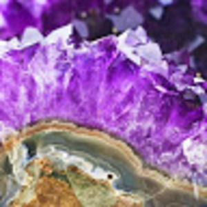 Meet your Posher, Jacqueline